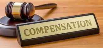 मुंबई : रेड सिग्नल तोड़ा और कुचल दिया... 8 साल चली कानूनी जंग, अब हिट-एंड-रन के मुजरिम भरेंगे 1 करोड़