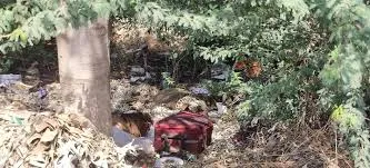 मुंबई : पहले हत्या, फिर काटा सिर, मुंबई-अहमदाबाद हाईवे के पास मिली लाश का खुलासा, बिजनेस पार्टनर ने क्यों ली जान