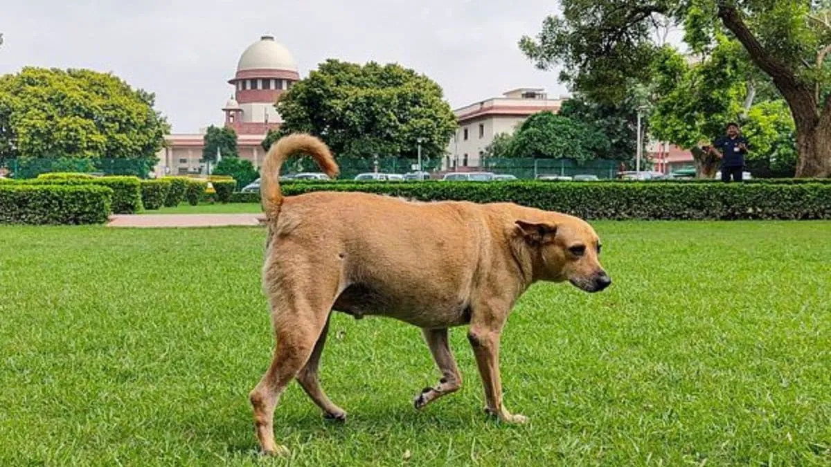सुप्रीम कोर्ट का बड़ा फैसला: आवारा कुत्तों को हटाने और नसबंदी आदेश बरकरार, पुनर्विचार याचिकाएं खारिज