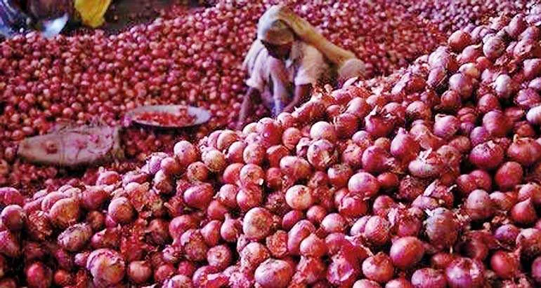 प्याज किसानों के लिए बड़ी घोषणा: ₹12.35 प्रति किलो खरीद और 30 जून से पहले कर्जमाफी का ऐलान