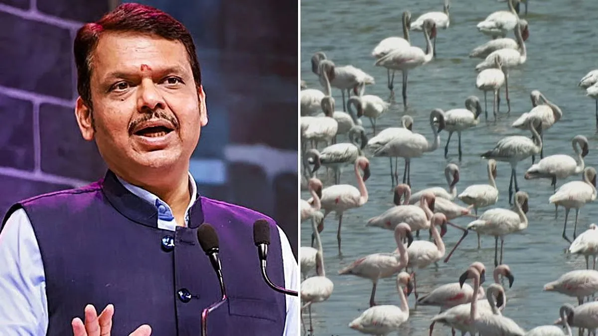 ठाणे की 8 झीलों को Wetland दर्जा न मिलने पर CM फडणवीस सख्त, फ्लेमिंगो आवास को लेकर जांच के आदेश