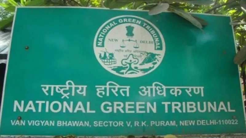 वाघिवली क्रीक पाइपलाइन परियोजना: NGT ने मछुआरा संघ को याचिका में संशोधन के निर्देश दिए