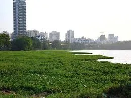 मुंबई: झीलों में पानी का स्तर बढ़ा, उपयोगी जल भंडार 7.31% तक पहुंचा