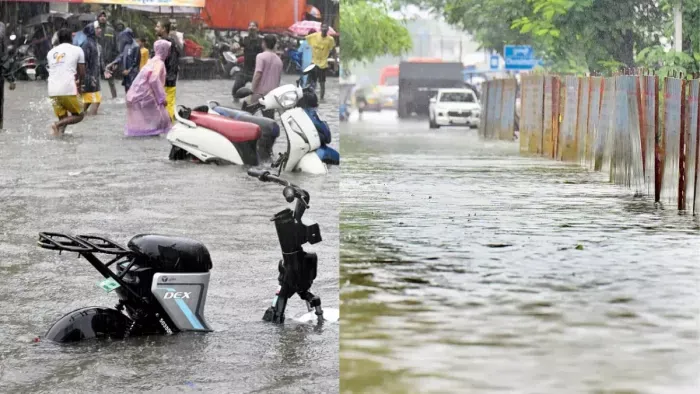 मुंबई : महाराष्ट्र में मूसलाधार बारिश का कहर, कई नदियां खतरे के निशान के ऊपर, नासिक, पालघर, रायगढ़ और मुंबई में अलर्ट