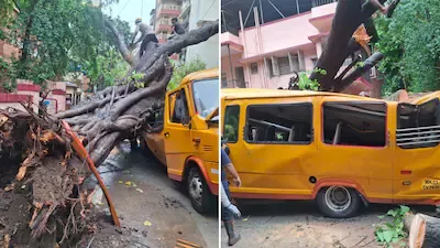  मुंबई के चेंबूर में स्कूल बस पर पेड़ गिरने से 11 साल के छात्र की मौत, चार अन्य घायल