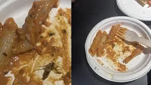 मुंबई के प्ले जोन में खाने को लेकर शिकायत, पास्ता में कॉकरोच मिलने का आरोप; जांच की मांग