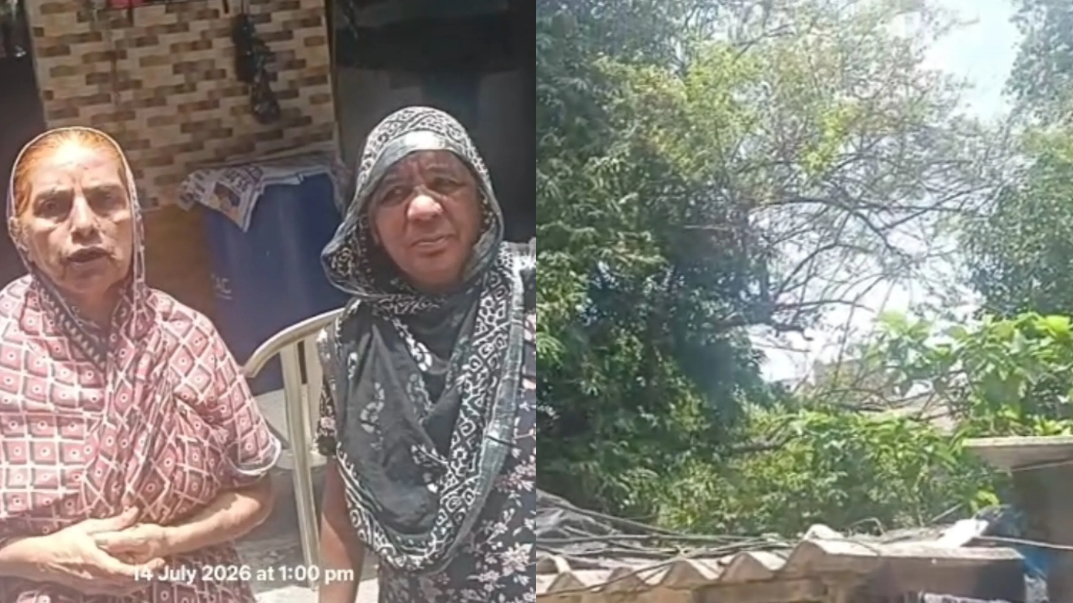 माहिम के लूनवाड़ा मेंशन के निवासी चिंतित: खतरनाक पेड़ों को काटने की BMC से तत्काल मांग