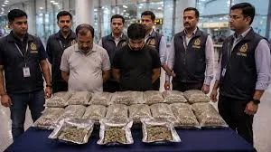 मुंबई एयरपोर्ट कस्टम्स ने इंटरनेशनल ड्रग सिंडिकेट का भंडाफोड़ किया, 19 साल के लड़के को 16किलो हाइड्रोपोनिक वीड के साथ अरेस्ट किया