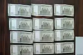 नासिक में नकली नोट छापने वाले रैकेट का भंडाफोड़, बंगले से लाखों के जाली नोट बरामद