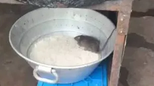 नालासोपारा में तबेला चहा-जमजम बिरयानी आउटलेट का वीडियो वायरल, खाने के बीच चूहा दिखने का दावा