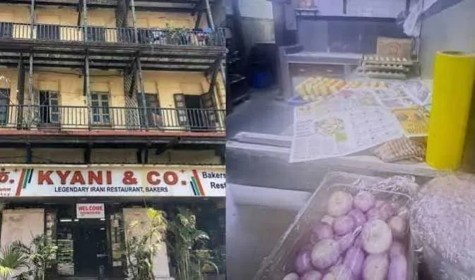 मुंबई :  FDA की बड़ी कार्रवाई... 30 फूड लाइसेंस सस्पेंड, 1.19 करोड़ का सामान जब्त !