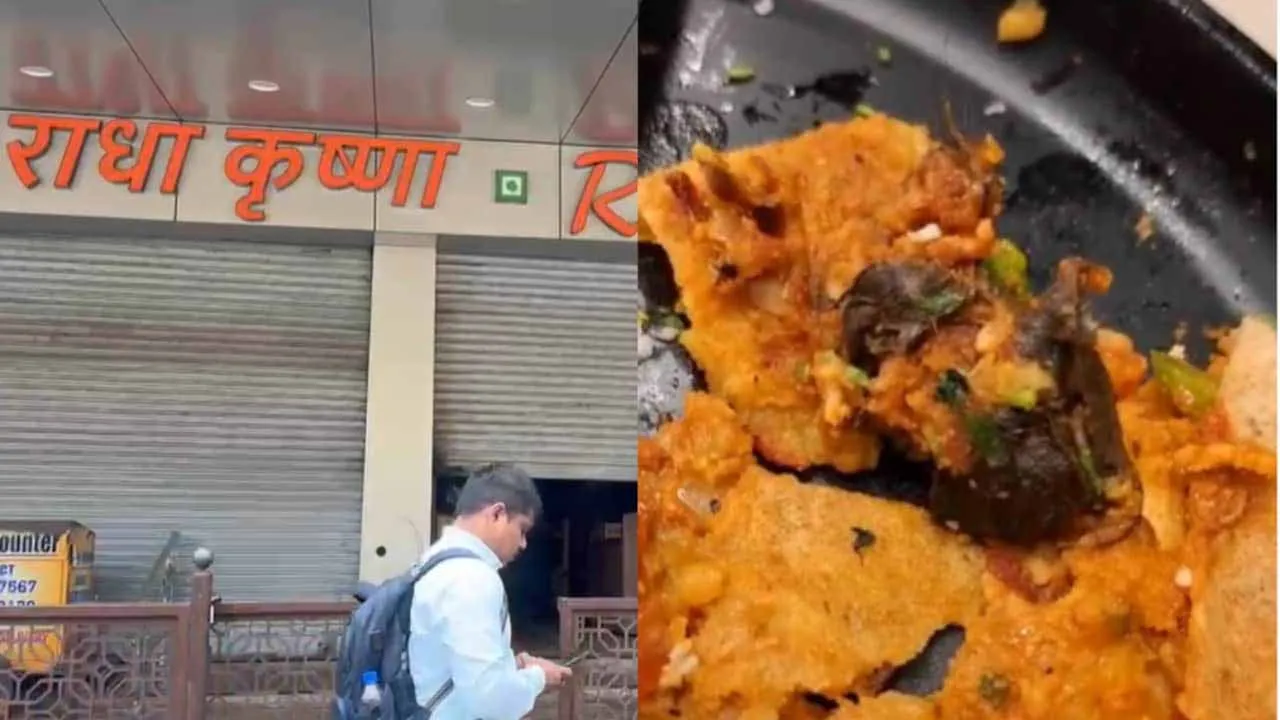 मुंबई : बोरीवली के रेस्टोरेंट में मैसूर मसाला डोसा के अंदर मिला मरा चूहा... खाते समय दिखा तो उल्टी करने लगा शख्स