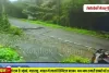 पालघर में टैक्सी की बाइक से टक्कर, नौ छात्र जख्मी