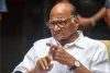 शरद पवार ने दावा किया कि शिंदे सरकार छह महीने से ज्यादा नहीं चलेगी