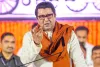 पहले महाराष्ट्र में नगर निकायों के चुनाव कराने चाहिए - राज ठाकरे