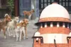 नई दिल्ली: आवारा कुत्तों से संबंधित मामले की सुनवाई 3 नवंबर को करेगा सुप्रीम कोर्ट 
