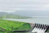 मुंबई : सरकार ने कोयना बांध प्रभावितों को न्याय दिलाने का वादा किया