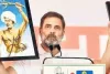  'आदिवासियों को वनवासी कहना संविधान और बिरसा मुंडा का अपमान', गुजरात में बोले राहुल