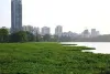 मुंबई: झीलों में पानी का स्तर बढ़ा, उपयोगी जल भंडार 7.31% तक पहुंचा