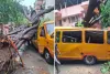  मुंबई के चेंबूर में स्कूल बस पर पेड़ गिरने से 11 साल के छात्र की मौत, चार अन्य घायल
