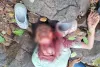 मुंबई : नाबालिग की पहाड़ी से धक्का देकर हत्या: आरोपी गिरफ्तार; क्या दोहराया गया 'सिया-केतन' जैसा हत्याकांड?