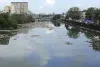 मुंबई : करोड़ों खर्च हुए, पर नहीं बदला मुंबई की मीठी नदी का भाग्य, अब भी भरी खर-पतवार, प्लास्टिक और कचरा