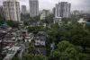 मुंबई: धारावी प्रोजेक्ट के लिए पेड़ हटाने का प्रस्ताव अथॉरिटी को सौंपा; क्या 8000 पेड़ काटे जाएंगे? 