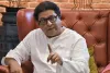 महाराष्ट्र  : 15 अक्टूबर से 2,000 रुपये से ज्यादा के भुगतान पर 0.4% MDR... UPI चार्ज पर राज ठाकरे ने उठाए सवाल, 