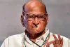 महाराष्ट्र : किसानों के समर्थन में उतरे शरद पवार... फडणवीस सरकार से की पूर्ण कर्ज माफी की मांग !