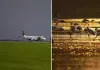 मुंबई हवाई अड्डे पर एमिरेट्स उतरने वाला विमान राजहंस के झुंड में उड़ा 40 पक्षी की मौत  