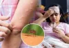 मुंबई : मच्छर जनित बीमारियों का खतरा; डेंगू और मलेरिया के मामलों में वृद्धि दर्ज