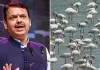 ठाणे की 8 झीलों को Wetland दर्जा न मिलने पर CM फडणवीस सख्त, फ्लेमिंगो आवास को लेकर जांच के आदेश
