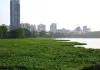 मुंबई: झीलों में पानी का स्तर बढ़ा, उपयोगी जल भंडार 7.31% तक पहुंचा