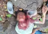 मुंबई : नाबालिग की पहाड़ी से धक्का देकर हत्या: आरोपी गिरफ्तार; क्या दोहराया गया 'सिया-केतन' जैसा हत्याकांड?