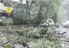 मुंबई : भारी बारिश के दौरान मुकेश अंबानी के काफिले के सामने पेड़ गिरा, बाल-बाल बचे