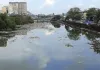 मुंबई : करोड़ों खर्च हुए, पर नहीं बदला मुंबई की मीठी नदी का भाग्य, अब भी भरी खर-पतवार, प्लास्टिक और कचरा