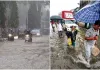 मुंबई : महाराष्ट्र में भारी बारिश, चार जिलों में 'रेड अलर्ट'