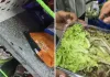 मुंबई: एफडीए ने 86 ऑनलाइन खाद्य प्रतिष्ठानों का निरीक्षण किया, 14 लाइसेंस निलंबित किए
