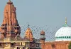 मथुरा श्रीकृष्ण जन्मभूमि को लेकर संतों का बड़ा ऐलान, कारसेवा की तैयारी तेज
