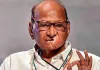 महाराष्ट्र : किसानों के समर्थन में उतरे शरद पवार... फडणवीस सरकार से की पूर्ण कर्ज माफी की मांग !