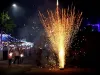 ठाणे जिले में दिवाली की रात पटाखों की वजह से आग लगने की कम कम से 12 घटनाएं सामने आई , कोई हताहत नहीं