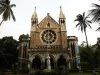 मुंबई यूनिवर्सिटी के 178 कॉलेज में नहीं हैं प्रिंसिपल