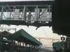 महाराष्ट्र में बल्लारशाह रेलवे स्टेशन पर गिरा फुटओवर ब्रिज... 20 लोगों के घायल होने की खबर