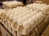 अंडे की कीमतों में उबाल...मुंबई के अंधेरी लोखंडवाला और बांद्रा पश्चिम में अंडे 90 रुपये प्रति दर्जन बिके