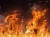 पालघर जिले के साखरे गांव में बिजली गिरने से लगी भीषण आग, चारे के गट्ठर जलकर खाक