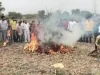 महाराष्ट्र के नाशिक जिले में किसान ने अपनी प्याज की फसल में लगाई आग... शिंदे सरकार से सवाल