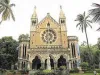 रिजल्ट या परीक्षा में देरी की वजह हड़ताल नहीं है - मुंबई यूनिवर्सिटी 