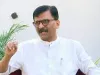 महाराष्‍ट्र विधानसभा की 180 से 185 सीटें MVA को मिलेंगी - राउत