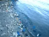 दुनिया के महासागरों में भारी मात्रा में प्रदूषण, १७१ ट्रिलियन से अधिक प्लास्टिक के टुकड़े तैर रहे हैं‌