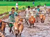 नमो शेतकारी महा सम्मान निधि को महाराष्ट्र सरकार ने दिखाई हरी झंडी, अब किसानों को मिलेंगे 12 हजार